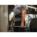 Пояс атлетичний для тренувань Harbinger Men's Hexcore 4.5-Inch Weightlifting Belt Red M (73.5-84 см) HRB23100M фото 8