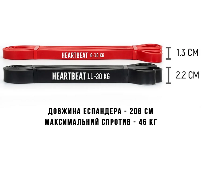 Набір для тренувань вдома HeartBeat Ab Roller Home Workout Set hbeat-home фото